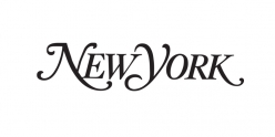 New York Magazine, News and Politics